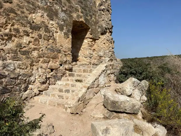 עבודות שימור, תמונה 2