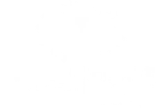 קיבוץ כנרת