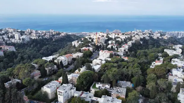 התור 6, תמונה 16