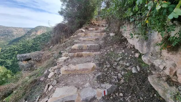 מונפורט, תמונה 14