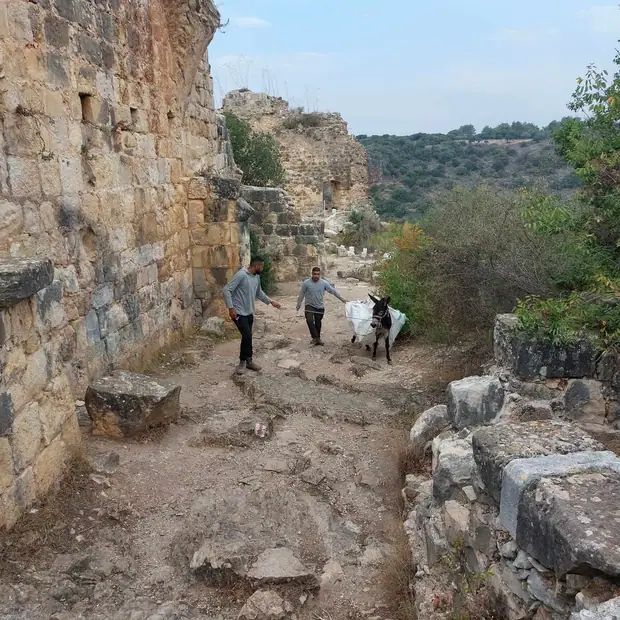 מונפורט, תמונה 19